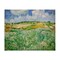 Stupell Industries Plain Near Auvers Painting Canvas, design by Vincent Van Gogh
